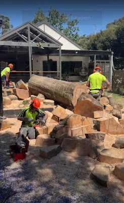 Reiners Tree Services Bentleigh project 4