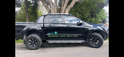 Reiners Tree Services Bentleigh photo 1