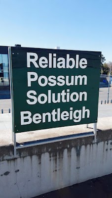 Reliable Possum Solution Bentleigh work 4