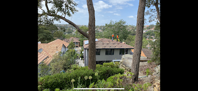 Reliable Solar Solutions Pty Ltd photo 2