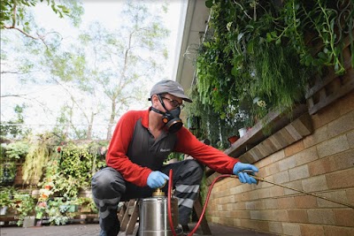 Rentokil Pest Control Adelaide work 3