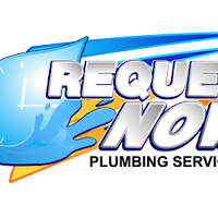 Request Now Plumbing Services