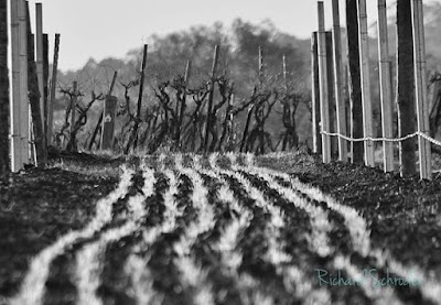 Rick's Plumbing Service work 3