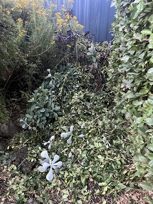 RJT Lawn and Gardening work 2