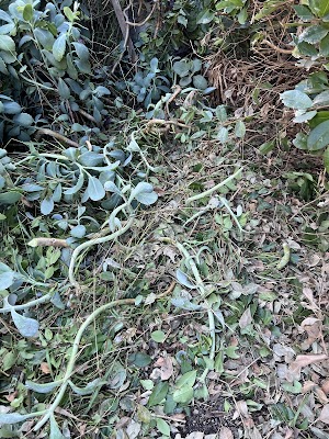 RJT Lawn and Gardening