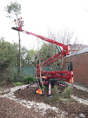 RML Access Tree & Hedge Services photo 2