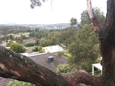 RML Access Tree & Hedge Services photo 3