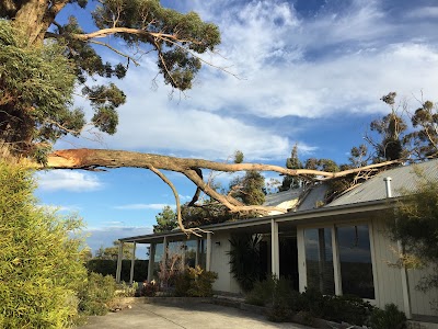 RML Access Tree & Hedge Services project 4