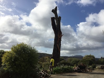 RML Access Tree & Hedge Services project 5