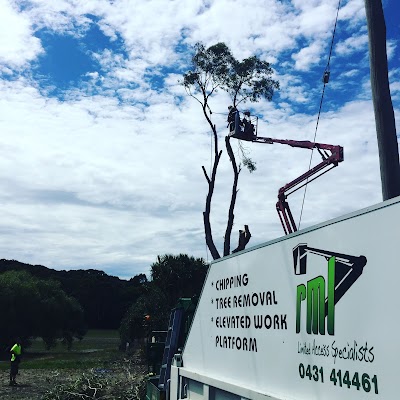 RML Access Tree & Hedge Services project 6