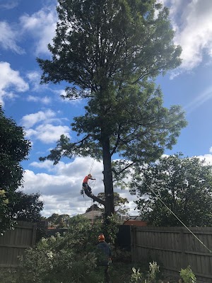 ROCKY'S TREE AND STUMP REMOVAL photo 3