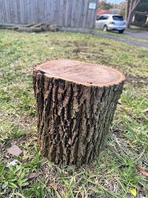 ROCKY'S TREE AND STUMP REMOVAL project 4