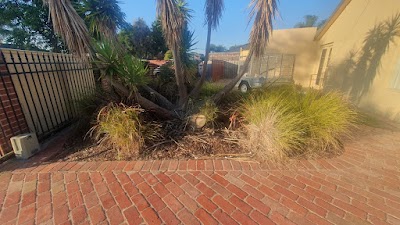 ROCKY'S TREE AND STUMP REMOVAL project 6