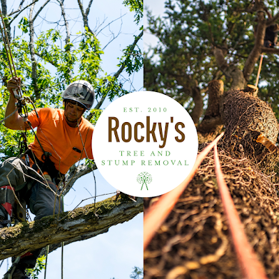 ROCKY'S TREE AND STUMP REMOVAL photo 1
