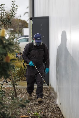 Rossy Pest Services work 2