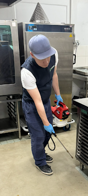 Rossy Pest Services work 3