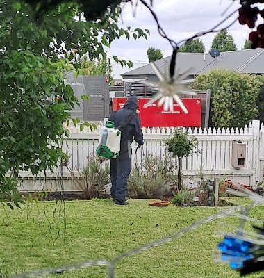 Rossy Pest Services project 6