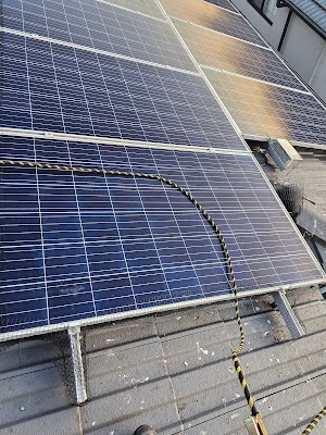 Routine Pest Control photo 2