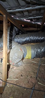 Routine Pest Control photo 3