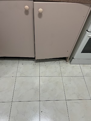 Routine Pest Control photo 2