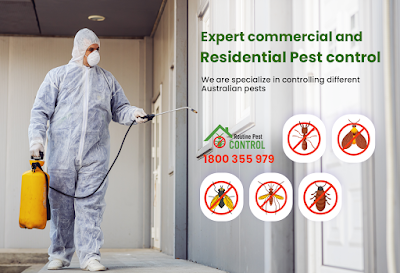 Routine Pest Control photo 3