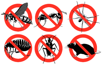 Routine Pest Control project 5