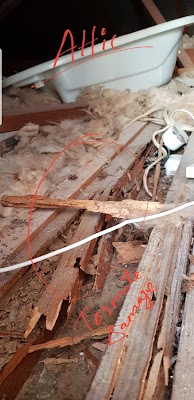 Routine Pest Control work 3