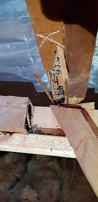 Routine Pest Control work 4