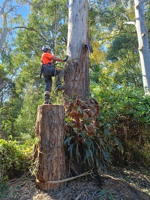 Royal Tree Services photo 2