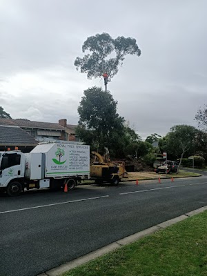 Royal Tree Services project 4