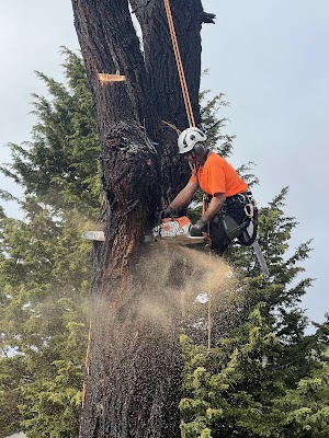 Royal Tree Services project 5