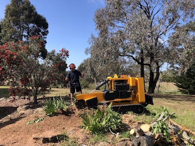 Rutherford Trees photo 2