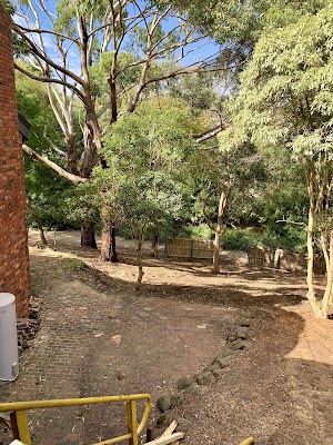 Rutherford Trees photo 3