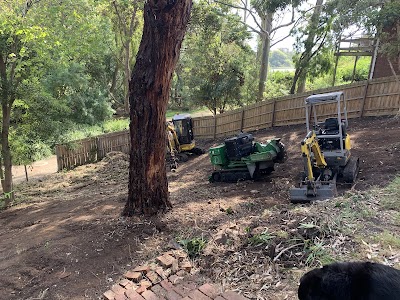 Rutherford Trees project 4