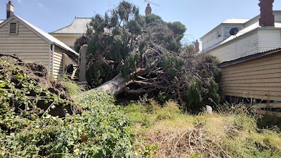 Rutherford Trees project 5