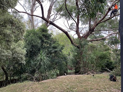 Rutherford Trees photo 1