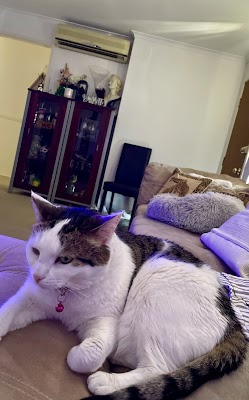 S&Z Airconditioning Services work 4