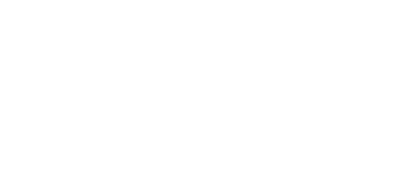 SA Local Roof Repairs