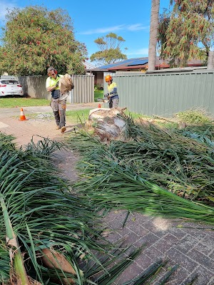 SA Tree Recyclers project 6