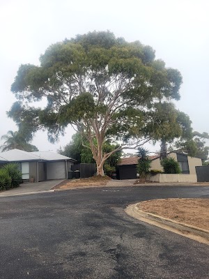 SA Tree Recyclers