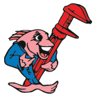 Salmon Plumbing