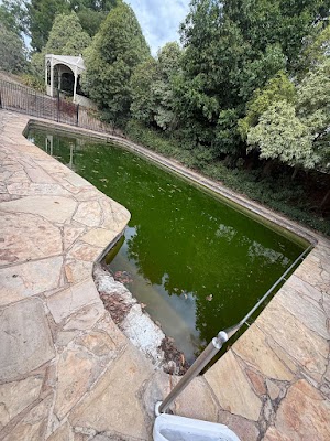 Sameday Pool Cleaning Elsternwick project 6