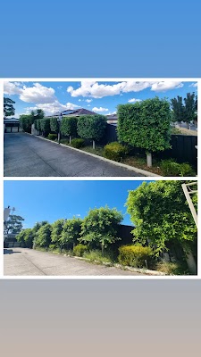 Saxon's lawn and Garden Care work 4