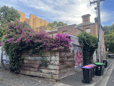 Saxon's lawn and Garden Care project 5