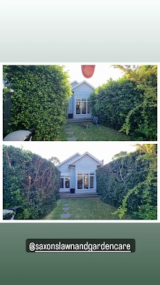 Saxon's lawn and Garden Care project 6