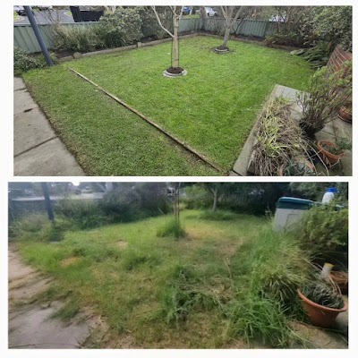 Saxon's lawn and Garden Care work 1