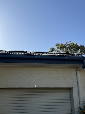 Second Opinion Pest Control