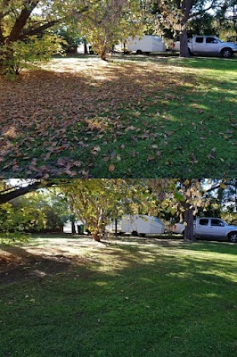 Seth's Lawn and Garden Care work 2