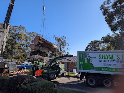 Shane's Trees project 4