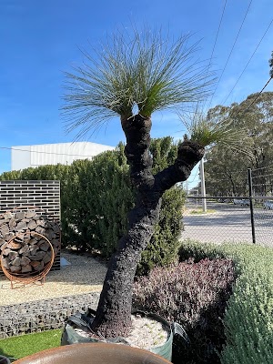 Simon Rosa Landscaping photo 3